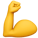 muscle